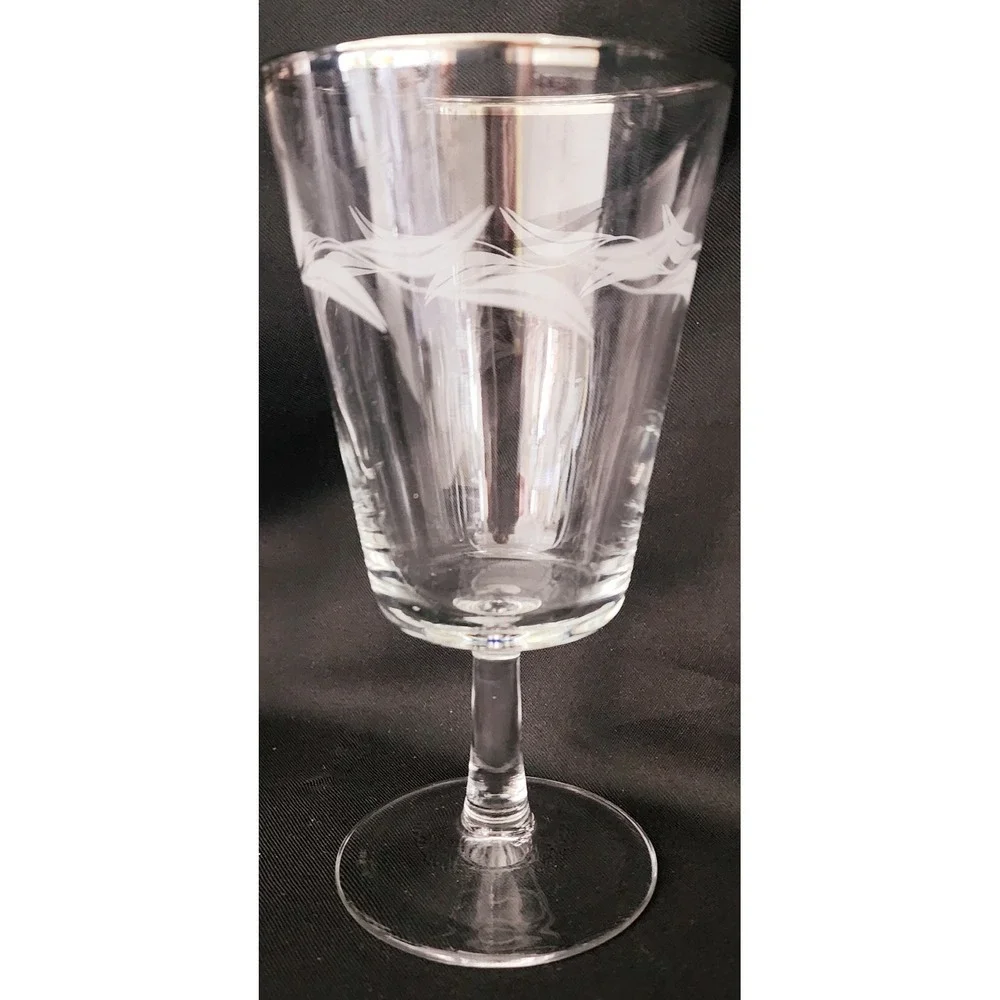 Vtg Platinum Rimmed Laurel Willow Etched Crystal France Glasses 2 Stem 3 Without